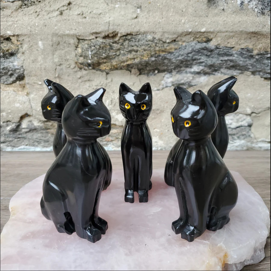 50 hình ảnh mèo đen (black cat) đẹp và dễ thương nhất | Mèo đen, Mèo, Dễ  thương