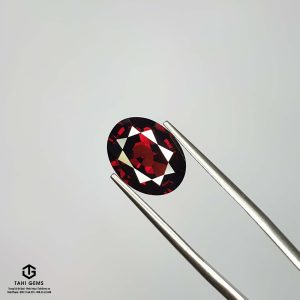 Natural Garnet – Tahi 20473