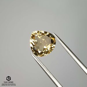 Natural Citrine – Tahi 8867-617